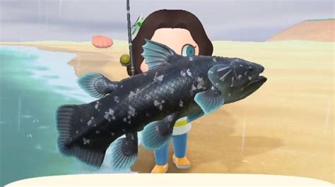 How To Catch A Coelacanth In Animal Crossing: New .